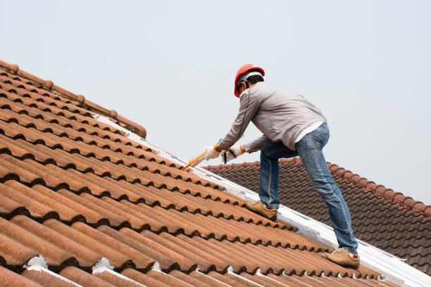 Fast & Reliable Emergency Roof Repairs in Josephine, TX