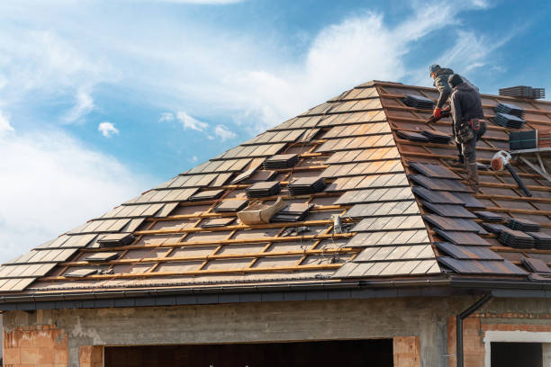 Best Metal Roofing Installation  in Josephine, TX
